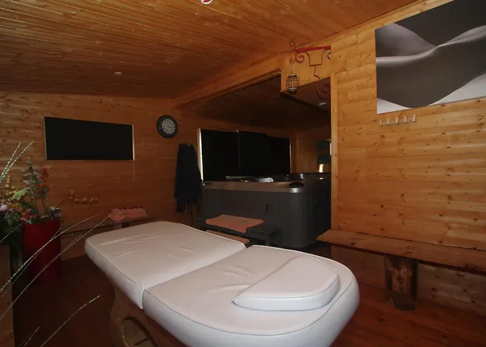 Plenitude Проживание в семье