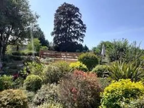 Plenitude Проживание в семье